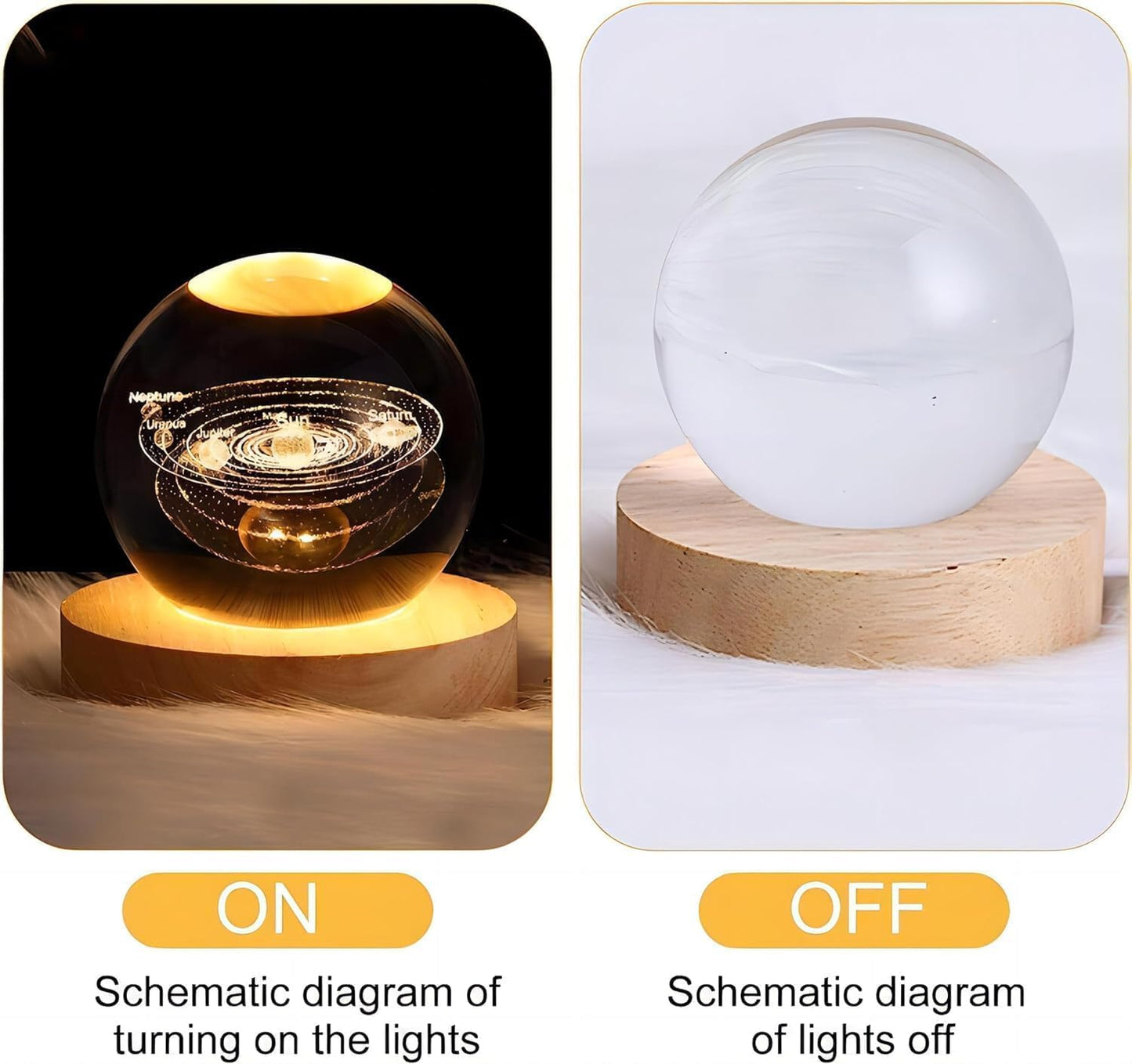 3D Engraved Dolphin Crystal Ball LED Night Light with Wooden Base